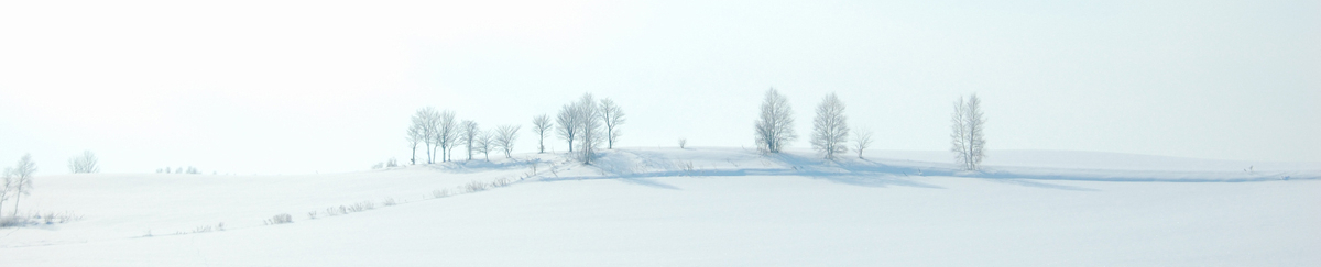 画像：雪景色